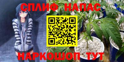 PSILOCYBIN Бийск