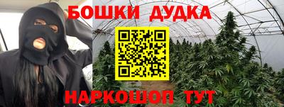 PSILOCYBIN Бийск