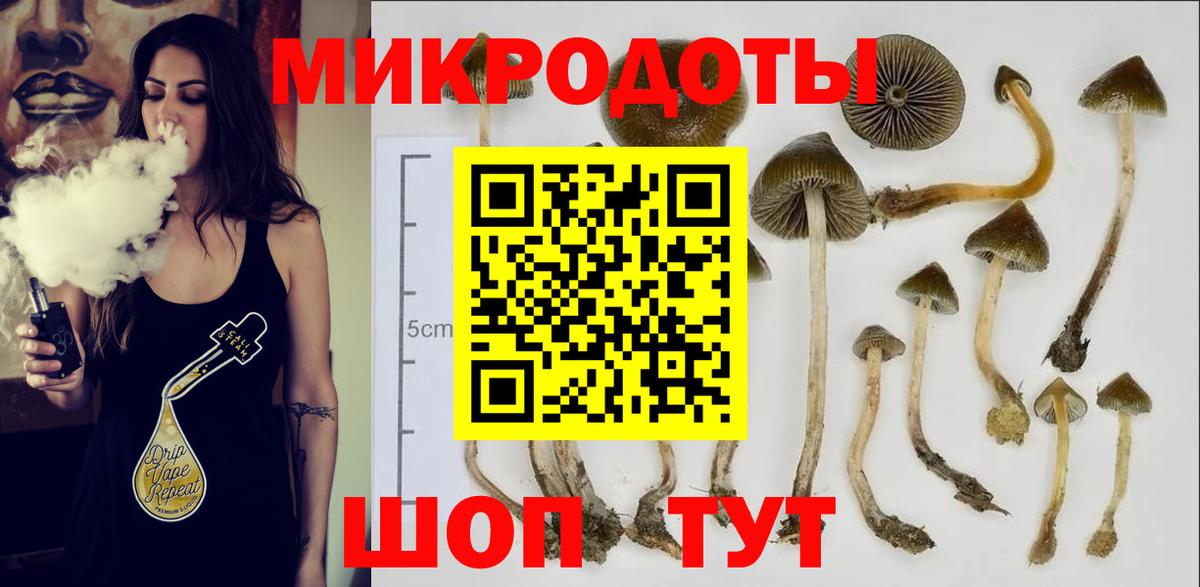 Псилоцибиновые грибы прущие грибы  Вход с VPN  Коломна 